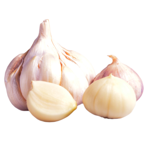 Garlic